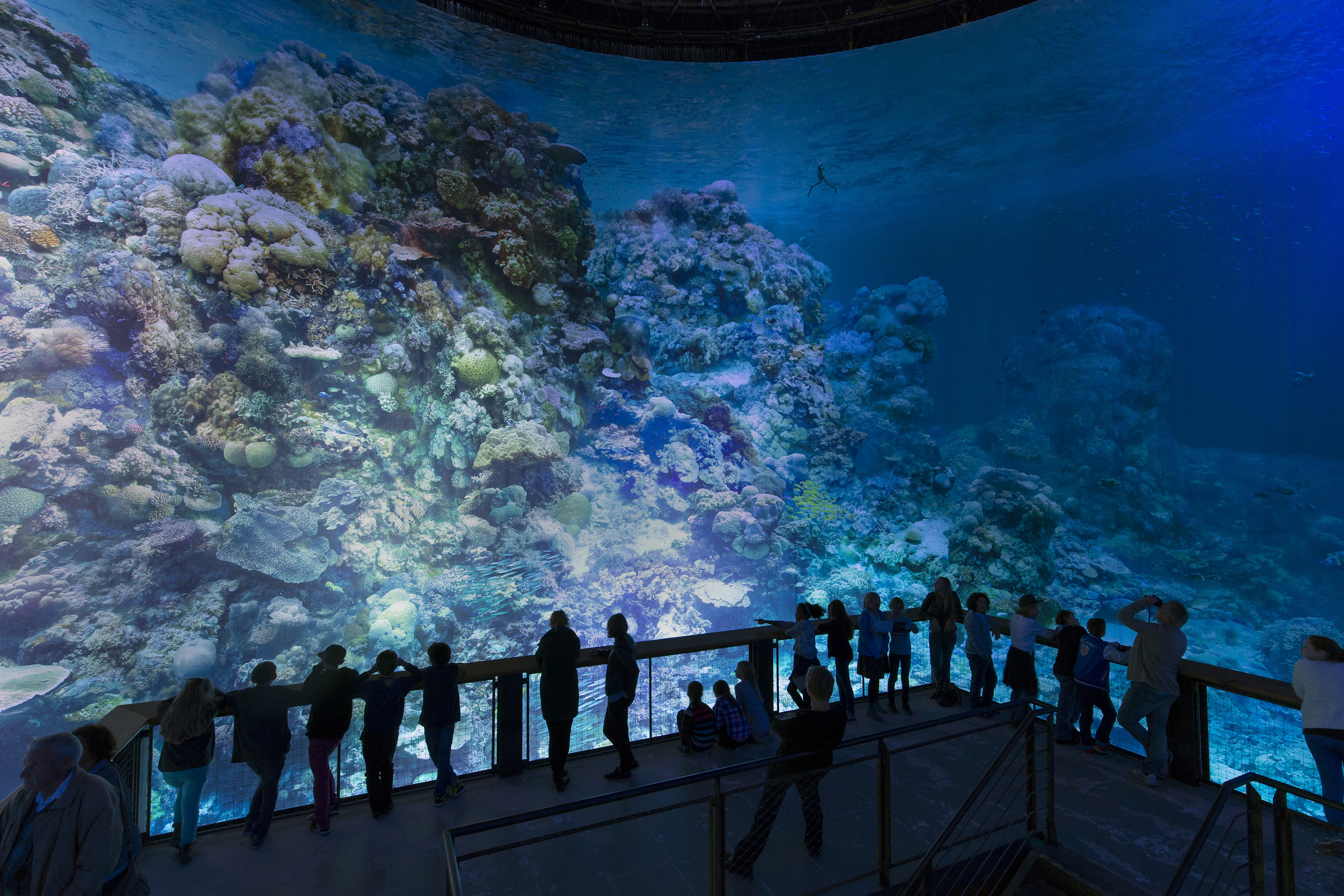 Das Great Barrier Reef