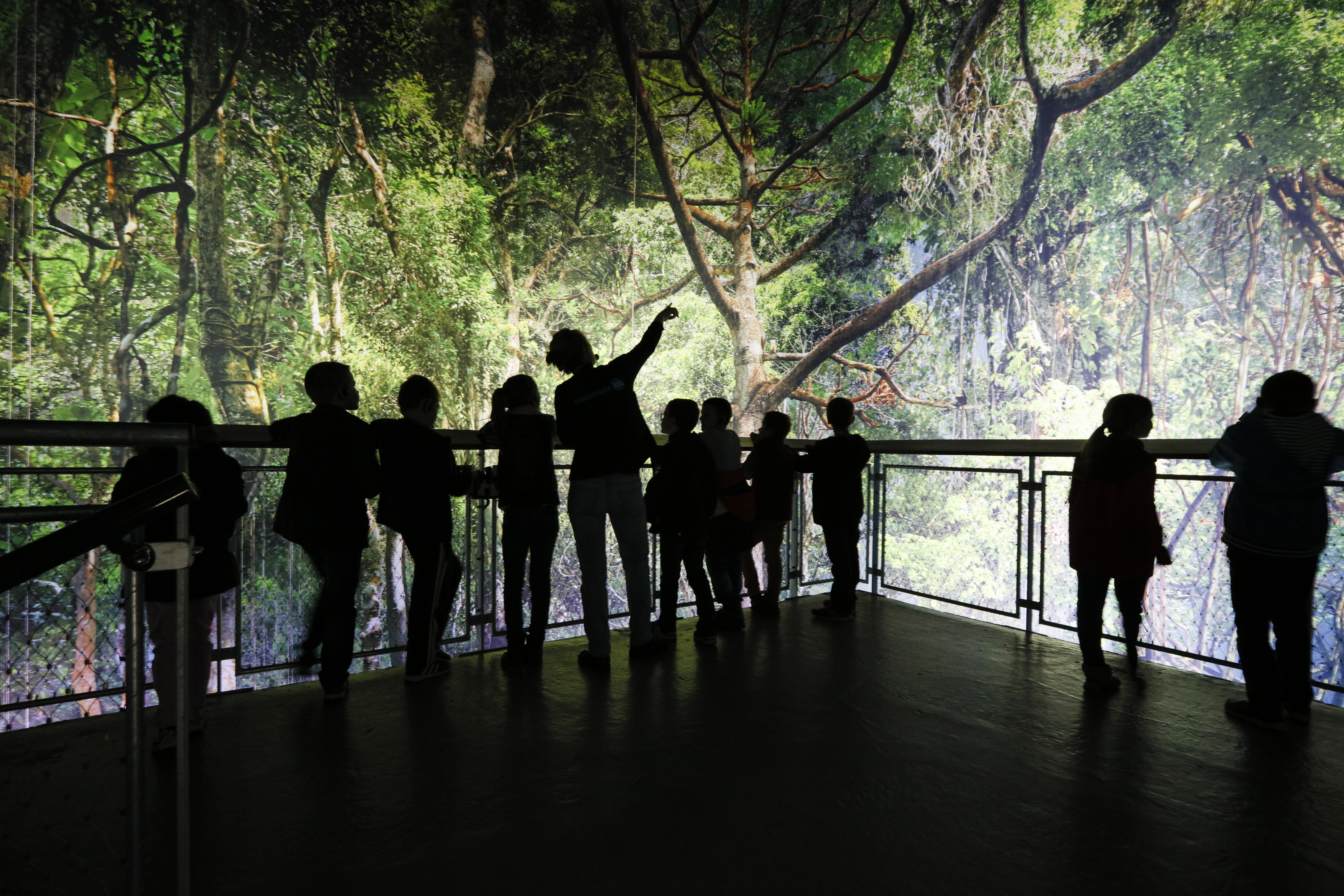 Amazonia